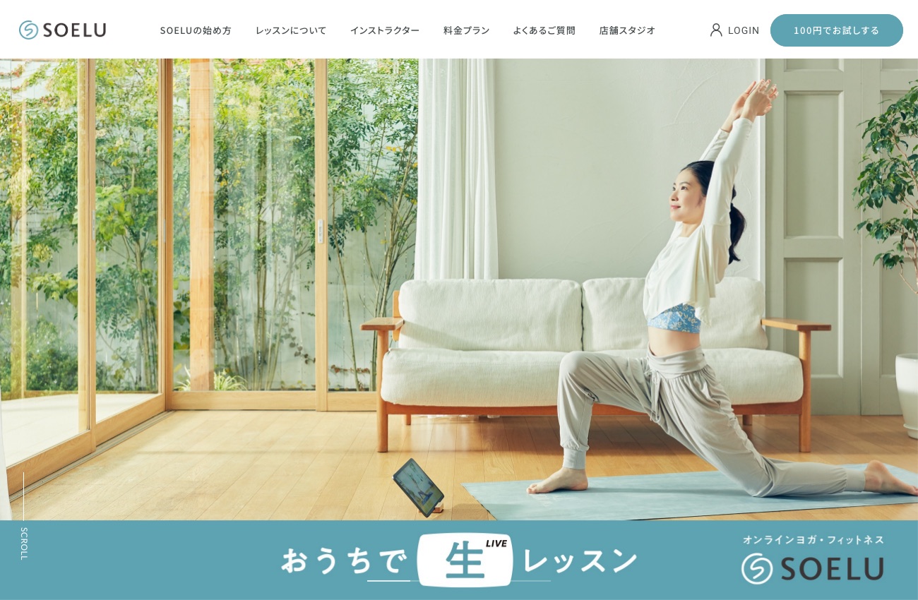 SOELUの公式サイトイメージ